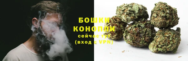 круглые Бородино