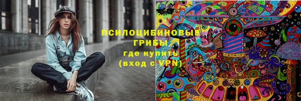 спиды Богородск