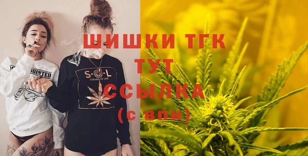 спиды Богородск
