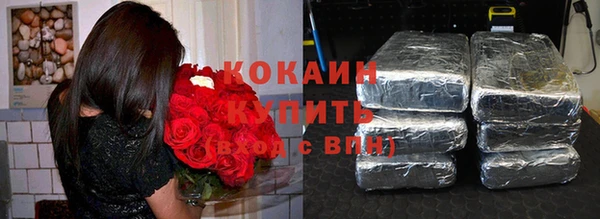 спиды Богородск