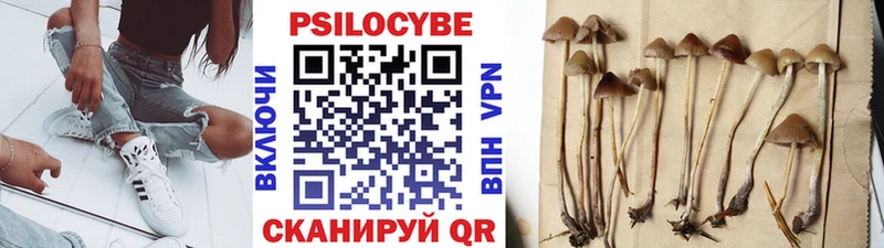 Галлюциногенные грибы мицелий Нижнекамск
